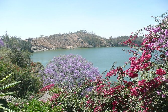 Addis Ababa Spa Day Trip To Debre Ziet(Resort Towns) - From Bole Airport to Debre Zeyit