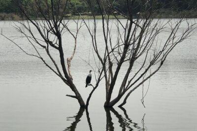 Addis City Tour & Crater Lakes excursions in Debreziet!