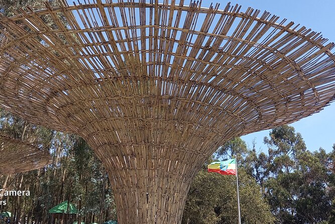Addis City Tour & Crater Lakes excursions in Debreziet! - What kind of visitor will enjoy this tour?
