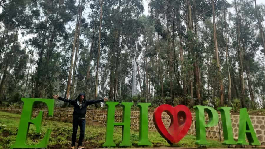Addis Pulse Walks - Key points at a glance