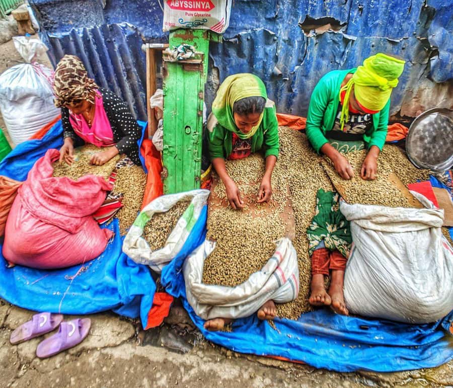 "Addis Uncovered: Culture, Views & Everyday Vibes - Why this Addis tour works well for a first day