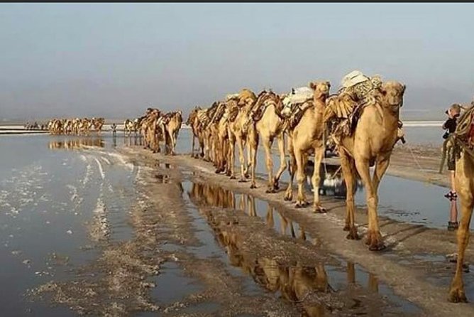 Afar Danakil Depression - Why this four-day trip is worth considering