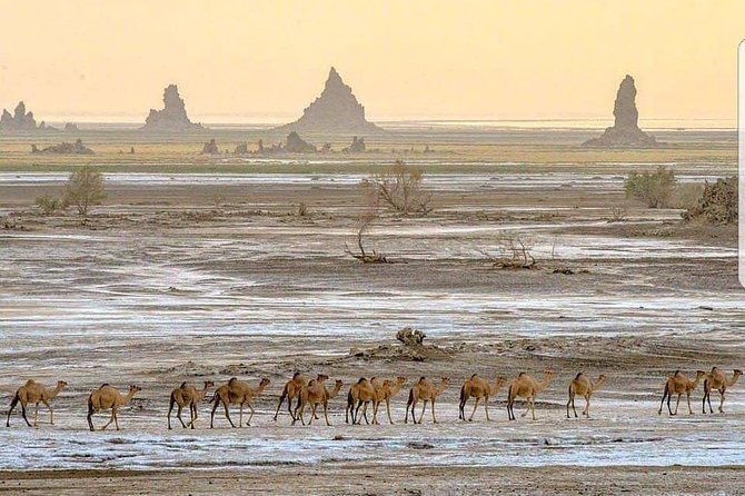 All Inclusive 03 Day Group Tour to Dalol, Danakil Depression From Semera - Day 3: Sunrise over magma and the return to Semera