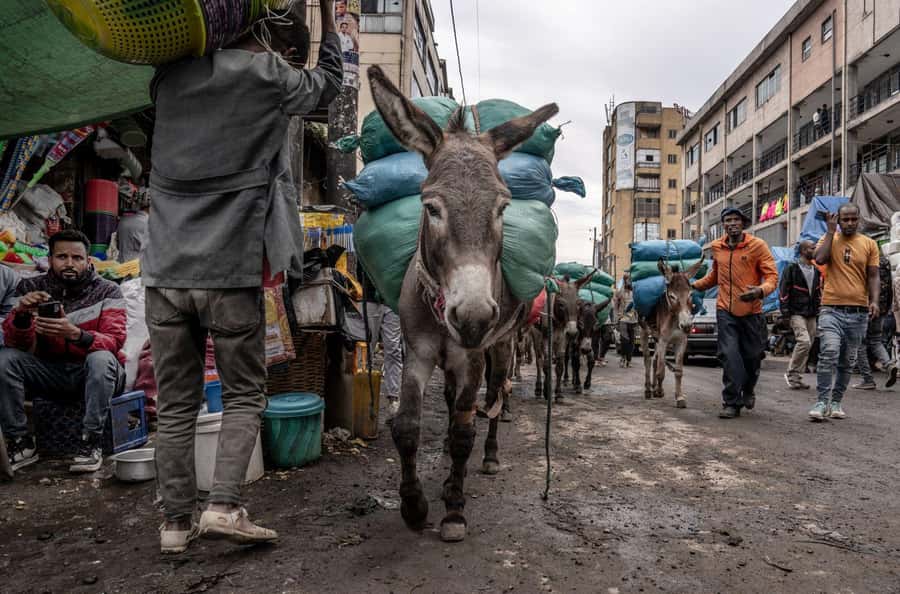Authentic Addis Ababa City Tour with a Local Guide - Lunch, injera, and the traditional ceremony
