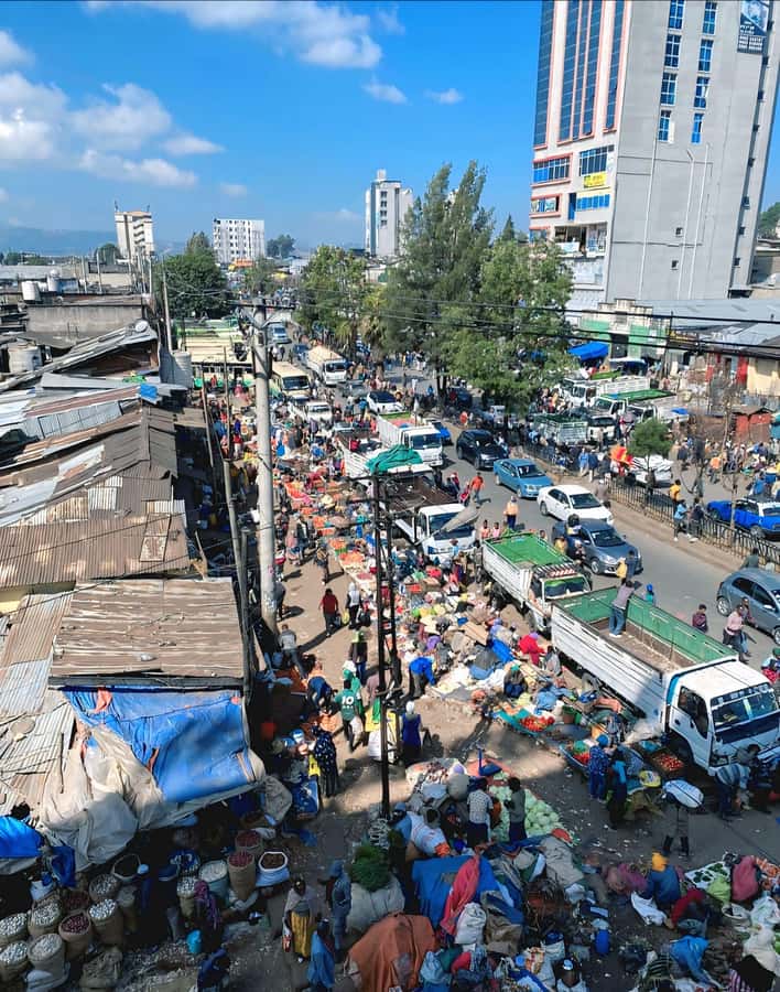 Authentic Addis Ababa City Tour with a Local Guide - Seeing the city between the stops