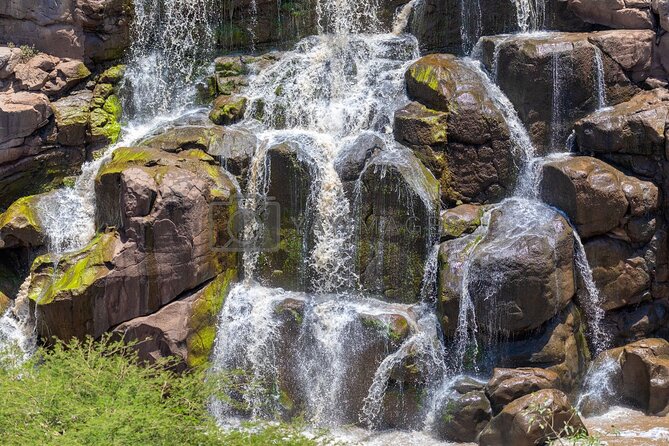 Awash National Park Tours - What the private format adds