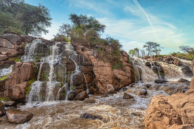 Awash National Park Tours - Starting at Bole Airport at 8:00 in the morning