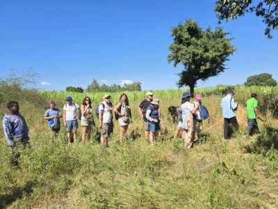 2-Day Blue Nile Falls & Lake Tana Monasteries Tour