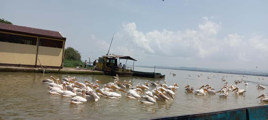 Bahir Dar:2-Day Blue Nile Falls & Lake Tana Monasteries Tour - The road to Tis Abay and Blue Nile Falls