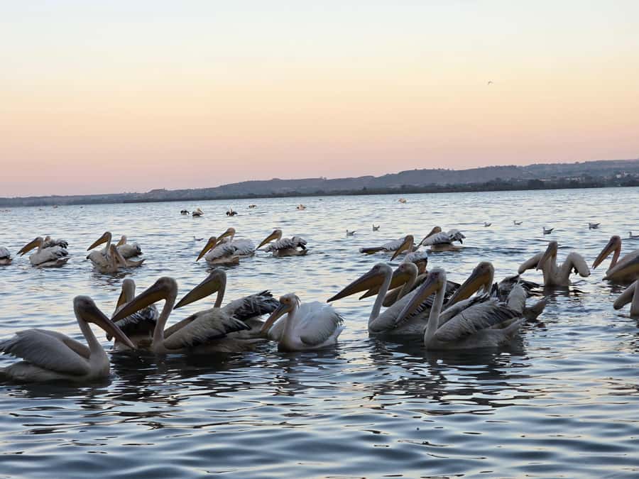 Bahir Dar:2-Day Blue Nile Falls & Lake Tana Monasteries Tour - Evening at a lake-view hotel