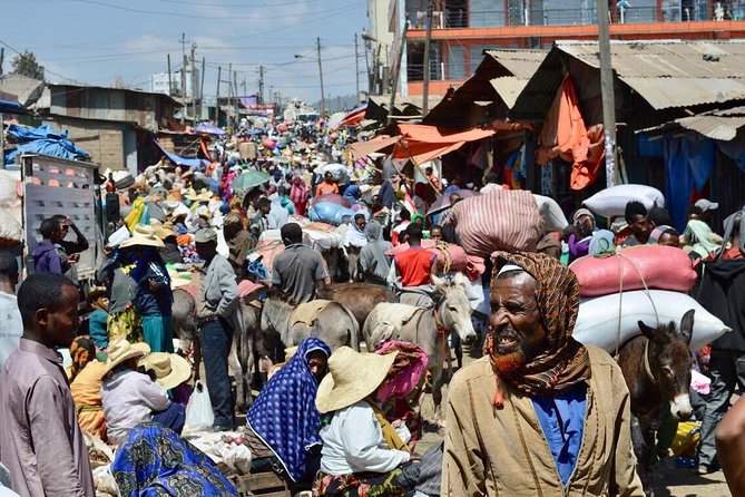 Best of Addis Ababa- (full day) - Best for layovers, first visits, and easy orientation