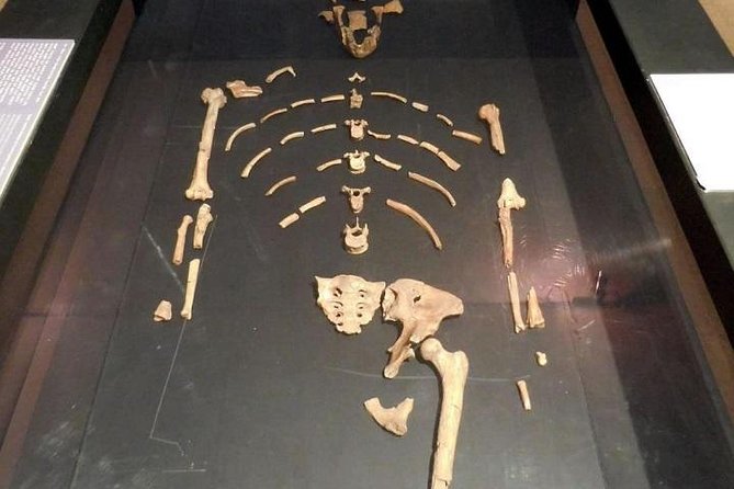 Best of Addis Ababa Guided City Tour - Lucy at the National Museum is the tour’s key indoor stop