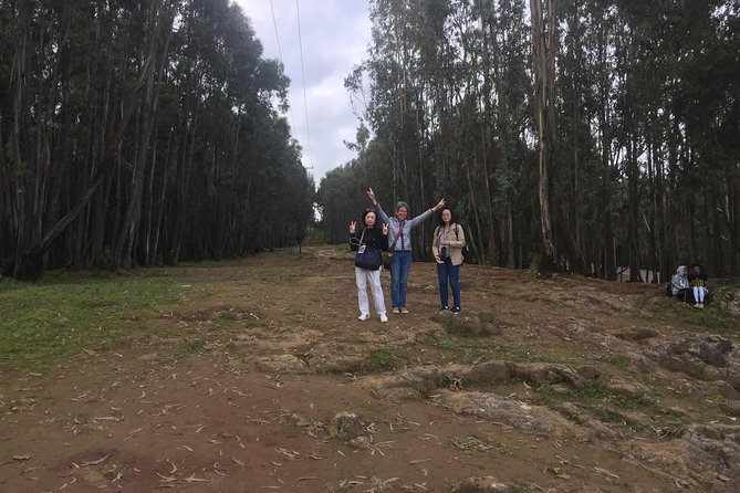 city tour of Addis Ababa ( history ,culture , food and more) - Key points before you book