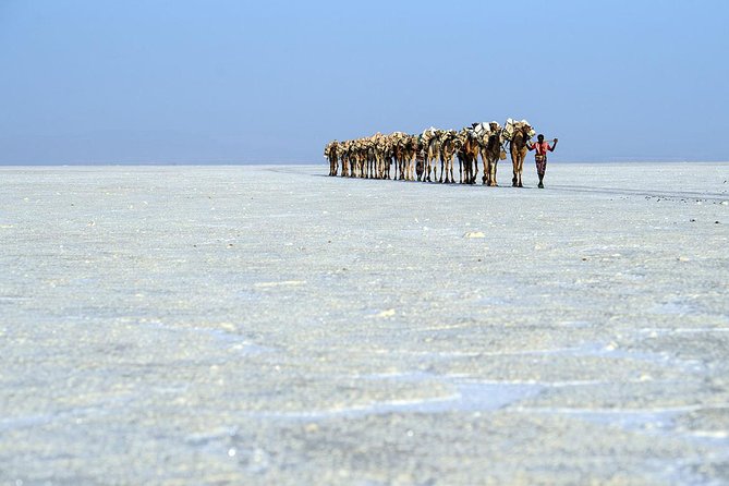 Danakil 3 days tour - What $650 buys you