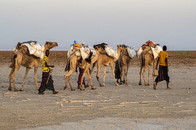 Danakil Depression 3 Days trip - Why the Danakil Depression is worth the effort
