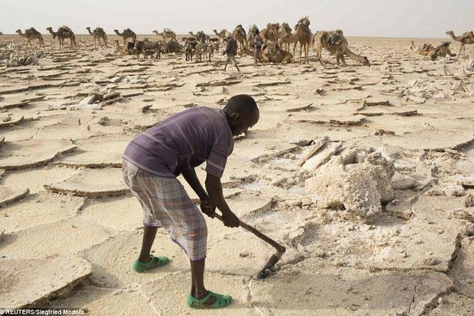 Danakil Depression and Lalibela 5 Days Tours - What the $950 price really covers