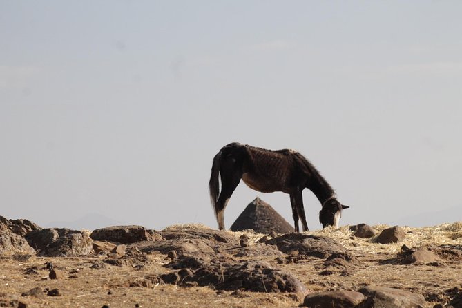 Day Hike Around Lalibela - What the $50 price includes in practical terms
