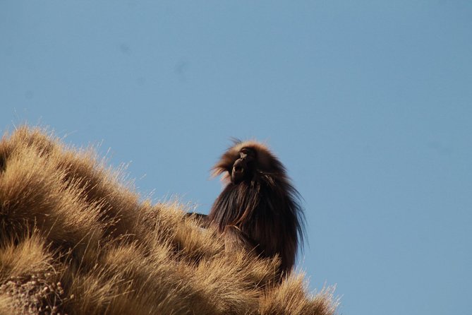 Day Hike Around Lalibela - Who should book this hike