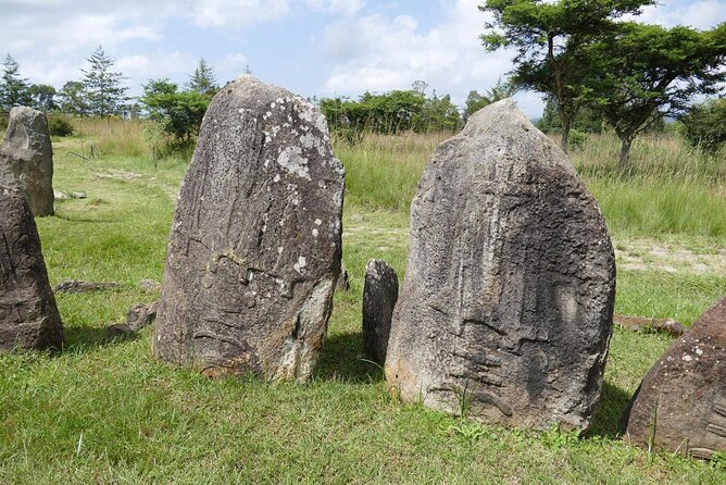 Day Tours to Tiya Stele and Cave Churches of Adadi Maryam - Reading the carved stones at Tiya