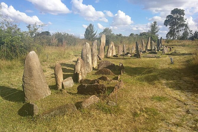 Day Tours to Tiya Stele and Cave Churches of Adadi Maryam - What the guide and driver add