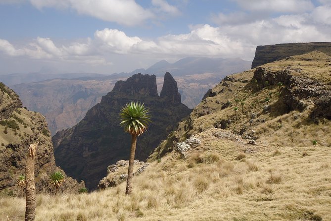 Day trek to Simeien Mountains - Chilkuwanit and the escarpment views