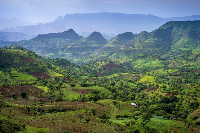 Day trek to Simien Mountain - Starting in Gonder at 8:30 am