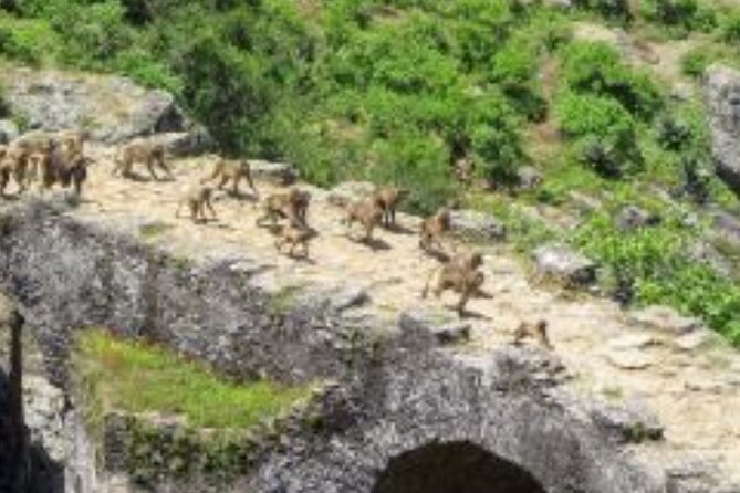 Day Trip Around Addis Ababa - Why this makes a good Addis Ababa day trip