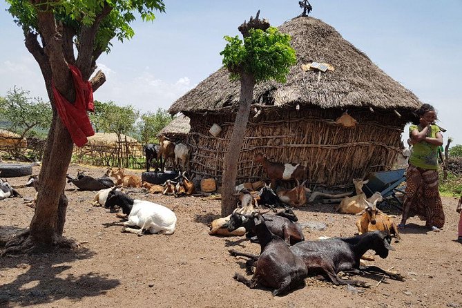 Day-Trip Church of Adadi Mariam from Addis Ababa - Tiya and its mysterious stone grave markers