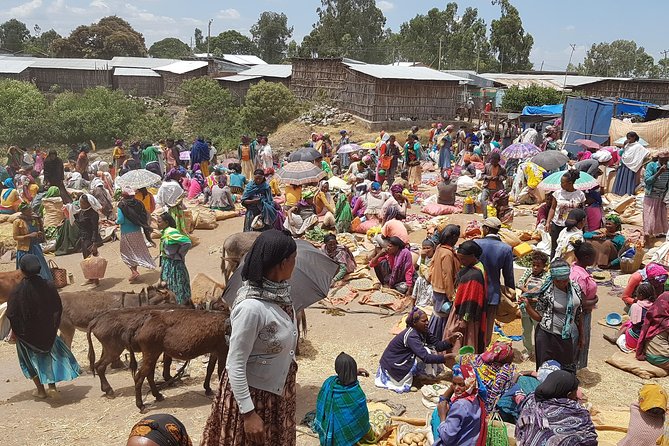 Day-Trip Church of Adadi Mariam from Addis Ababa - Weather, clothing, and the extra costs to plan for