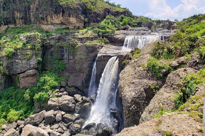 Day Trip From Addis Ababa See Historical Monastery,Stunning Nature,Animals,Birds - Geladas, vultures, and bird watching in the gorge