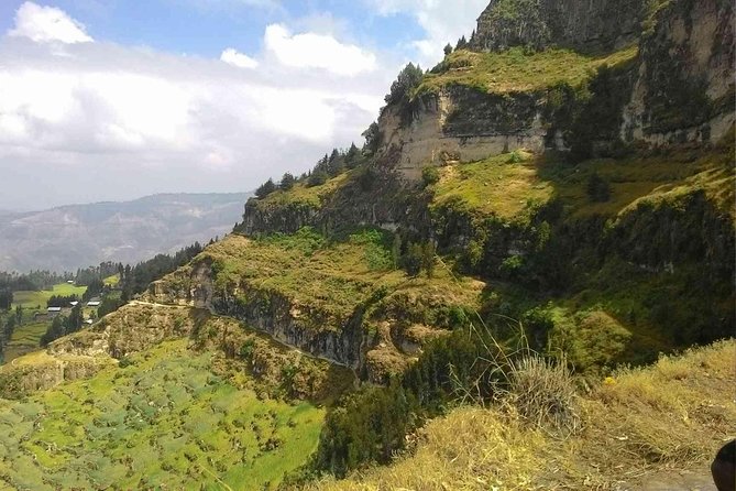 Day Trip From Addis Ababa See Historical Monastery,Stunning Nature,Animals,Birds - Ethiopian coffee and lunch with a local flavor