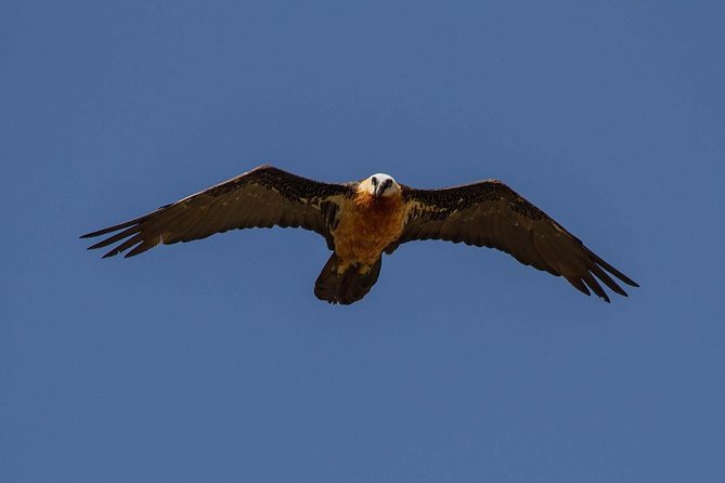 Day Trip From Addis Ababa See Historical Monastery,Stunning Nature,Animals,Birds - Is $90 good value?