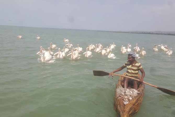 Day trip on Bahir dar. To visit lake tana monasteries and Blue Nile Falls. - Why this Bahir Dar day trip works well