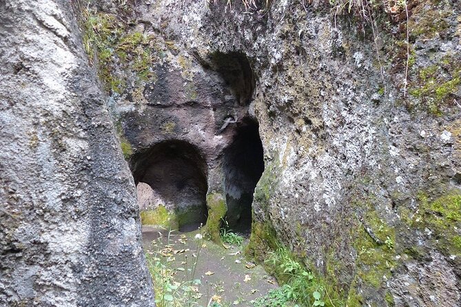 Day trip to Adadi Mariyam and Melka kunture - Is $100.67 a fair price?