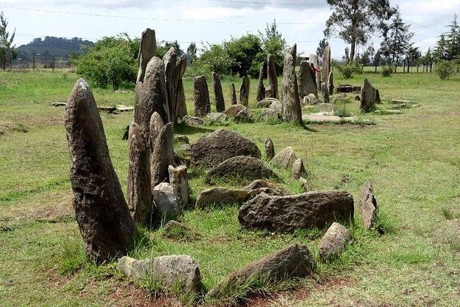 Day trip to Adadi Mariyam, Tiya and Melka kunture - Key points at a glance