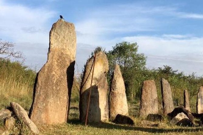 Day trip to Adadi Mariyam, Tiya and Melka kunture - Adadi Mariam and the craft of a rock-hewn church
