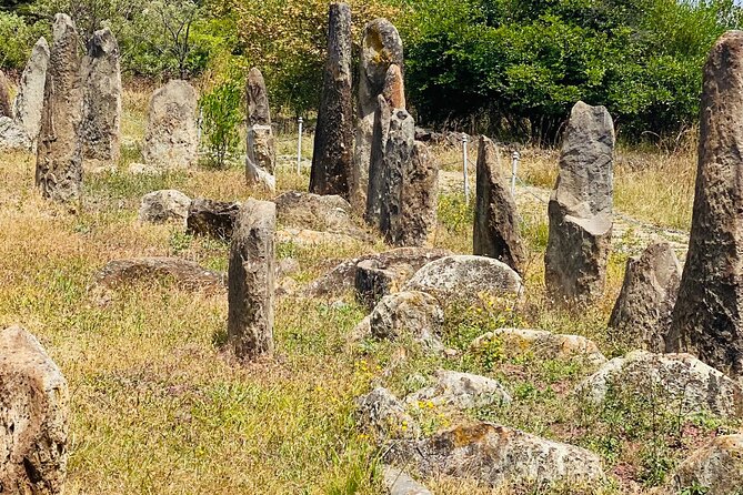 Day Trip to Adadi Rock and Tiya Archeological Excursion - Why this day trip works from Addis Ababa