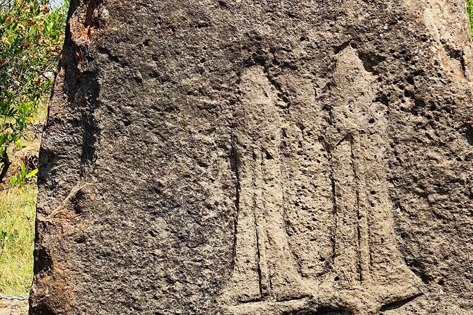 Day Trip to Adadi Rock and Tiya Archeological Excursion - What the private vehicle and included meals mean