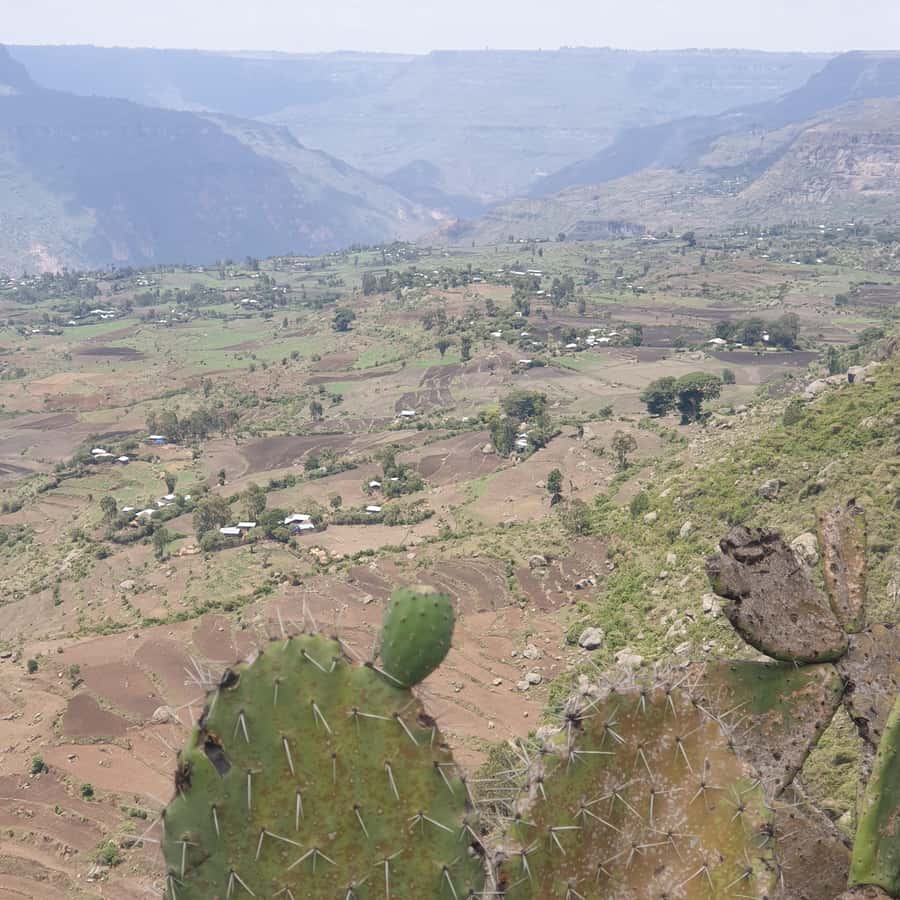 Day trip to Debre Libanose and Portuguese Bridge. - Leaving Addis Ababa for Debre Libanos