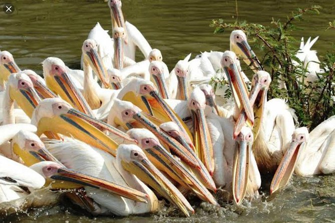 Day Trip To Lake Ziway - Is $275 per person good value?