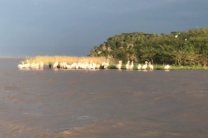 Day Trip To Lake Ziway - Lake Ziway and the story of Maryam Tsion