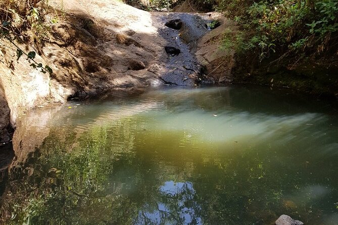 Day Trip to Menagesha Suba Forest from Addis Ababa - Lunch, Ethiopian coffee, and a taste of local hospitality