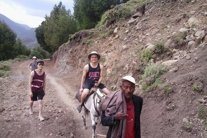 Day Trip to Tiya UNESCO Site & Melka Kunture Archaeological Site - Why this Addis Ababa day trip is worth considering