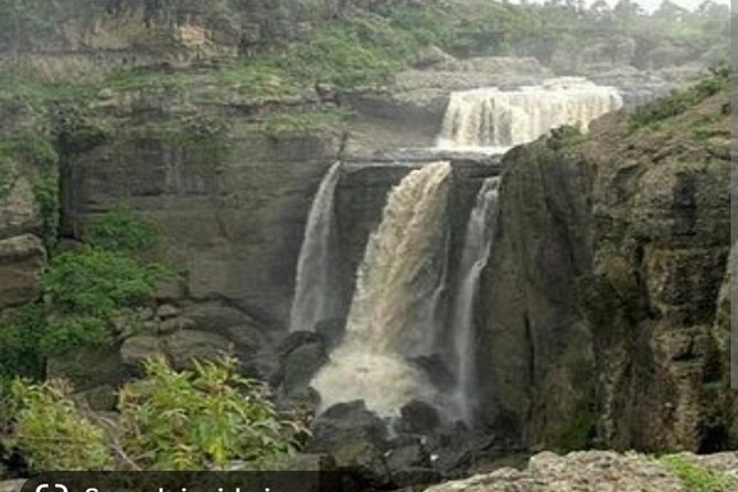 Day Trips from Addis Ababa See Monastery, Nature, Animals, Birds - What the $145 price really gets you