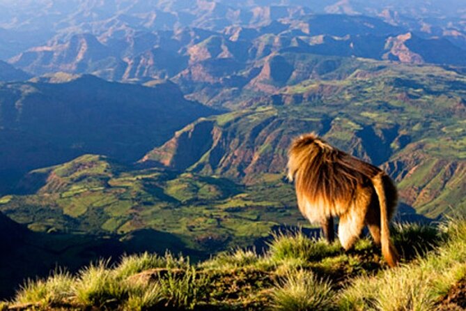 Debre Libanos and Portuguese bridge - Key points at a glance