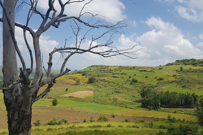 Debre Libanos Monastery and Jemma River Gorge - Day Tour from Addis Ababa - Leaving Addis Ababa for the northern highlands
