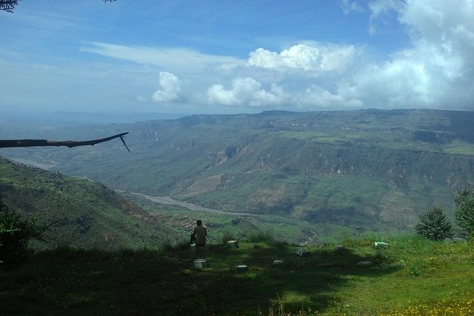 Debre Libanos Monastery and Jemma River Gorge - Day Tour from Addis Ababa - Looking for Gelada baboons