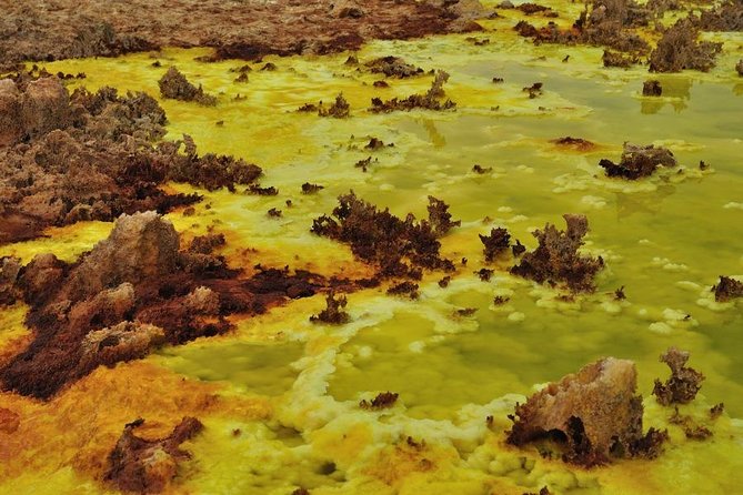 Ertaale and Dallol 6 Days Tour Package - Day five: Returning to Mekele and recovering