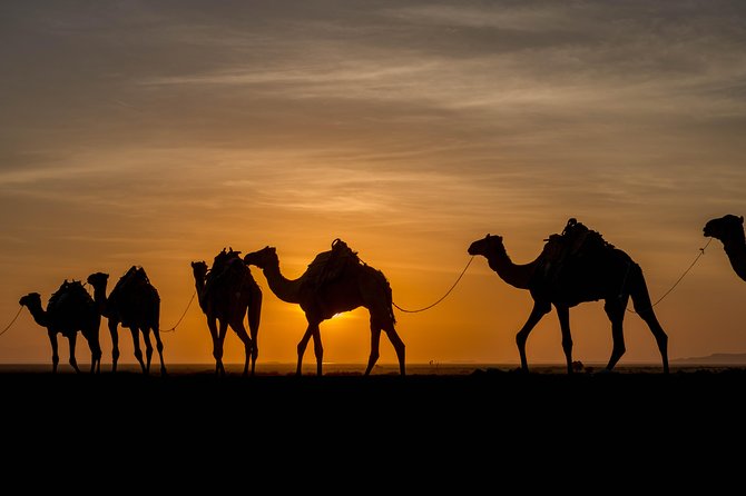 Ertaale and Dallol 6 Days Tour Package - Day six: Return to Addis Ababa and a cultural farewell
