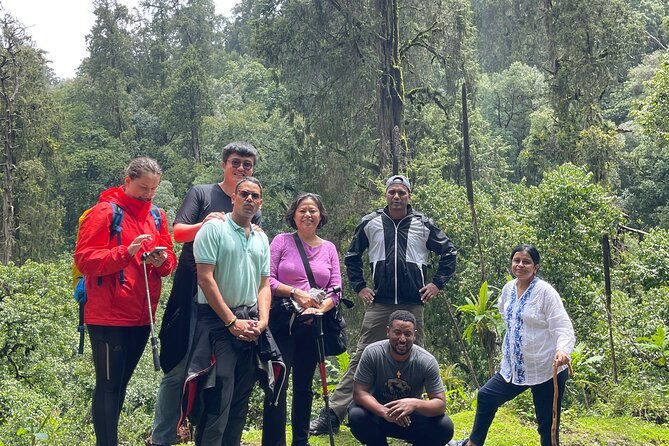 Escape from Addis to hike through beautiful Menagesha forest! - What the hiking portion may feel like